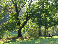 Pennsbury Township Park
