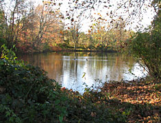 Pond area in Pennsbury Township Park